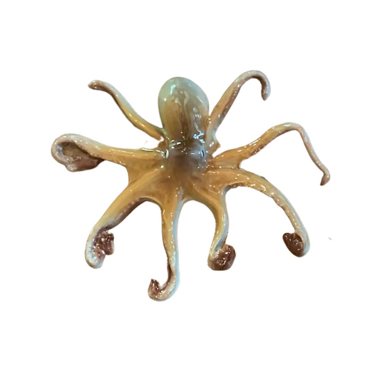 Polpo Medio - Medium Octopus