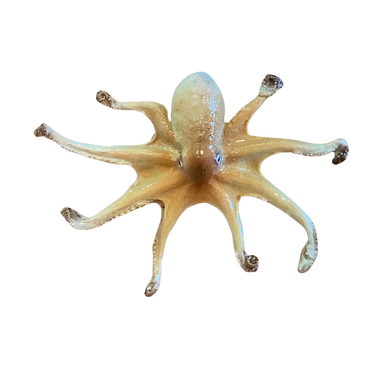 Polpo Piccolo - Octopus (A)