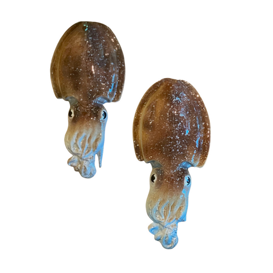 Seppia - Cuttlefish