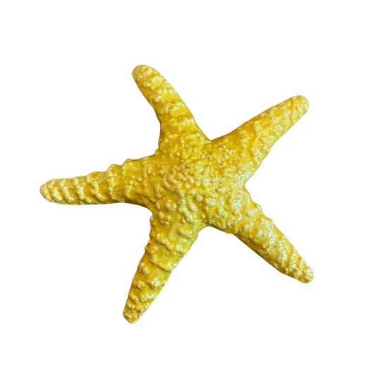 Stella Gialla - Yellow Starfish