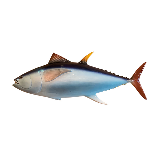 Tonno - Yellowfin Tuna