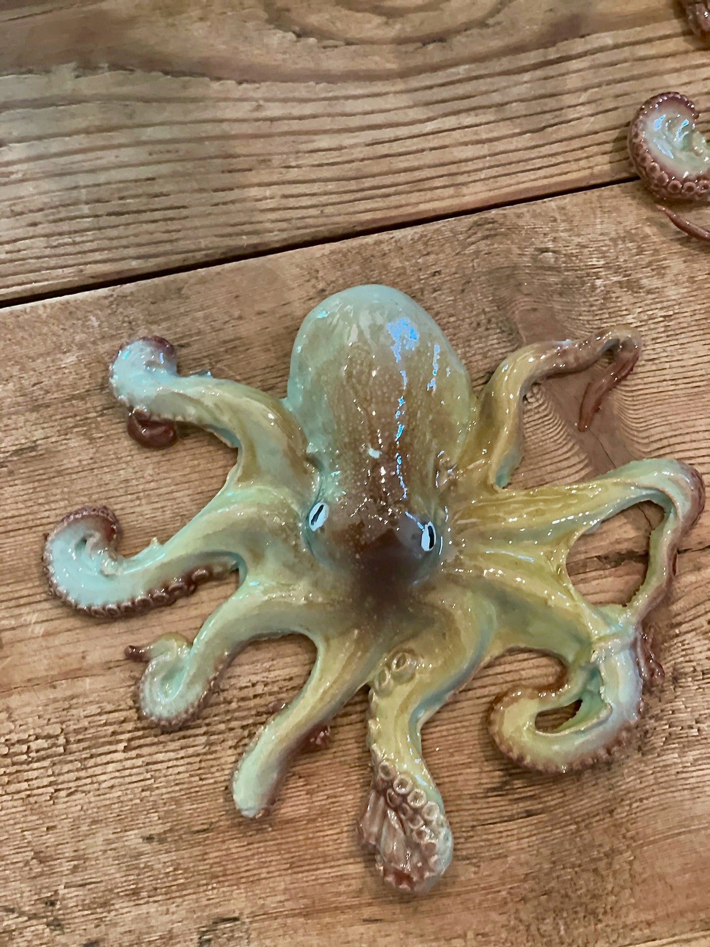 Polpo Piccolo - Small Octopus (B)