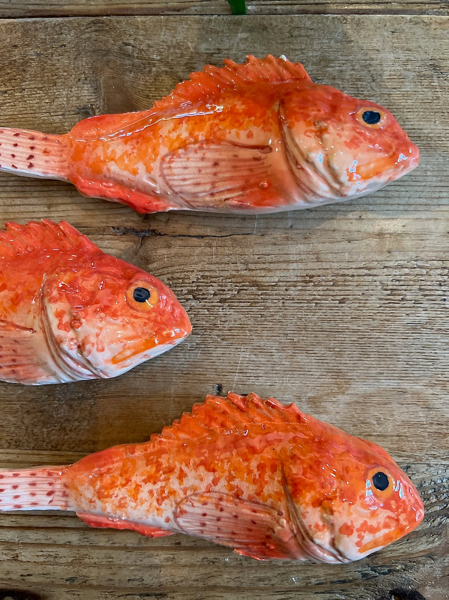 Scorfano - Small Red Rockfish