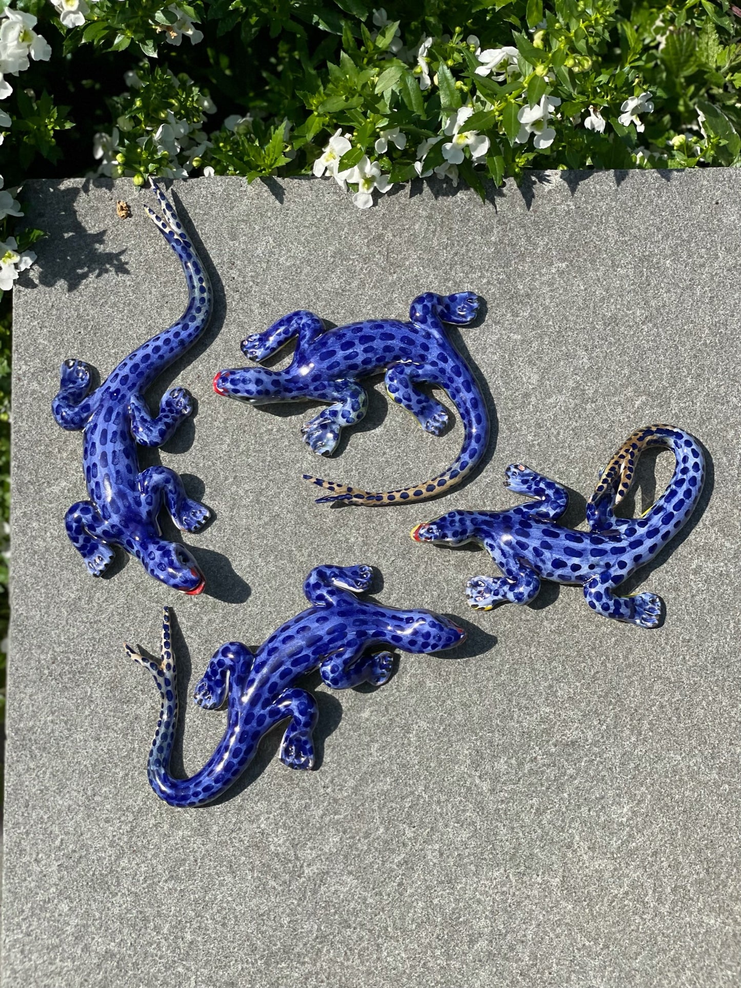 Lucertola Azzurra - Blue Lizard