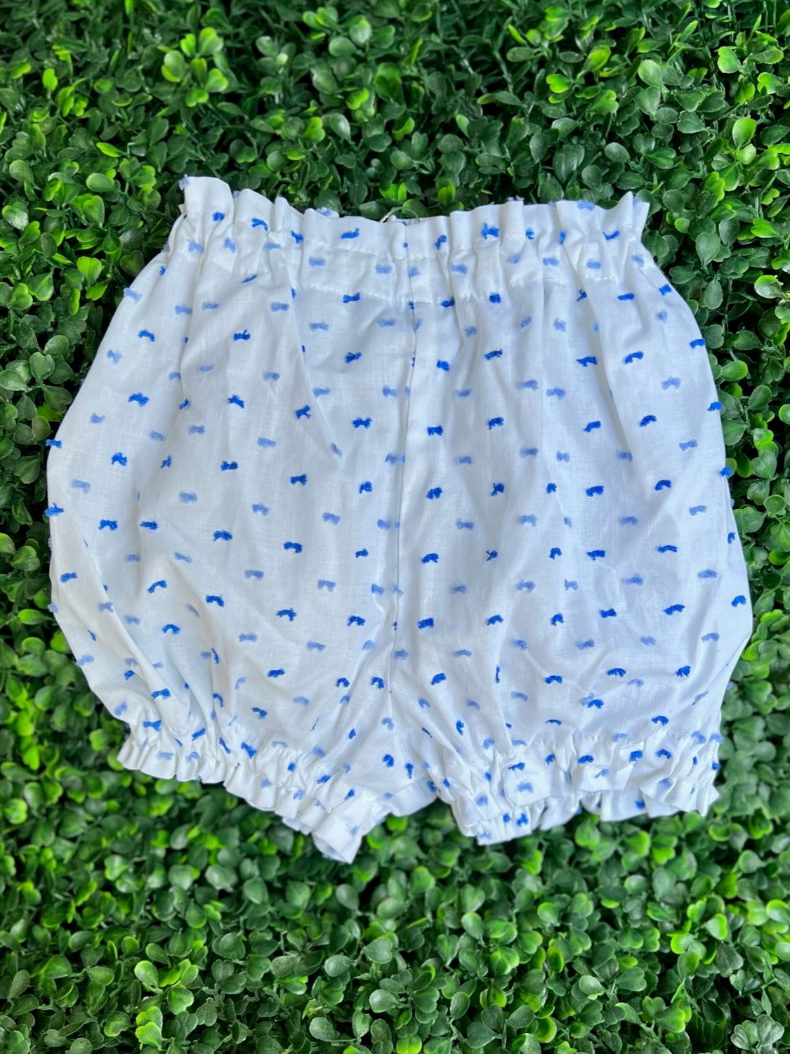 Girl Bloomer Shorts - Blue Plumeti