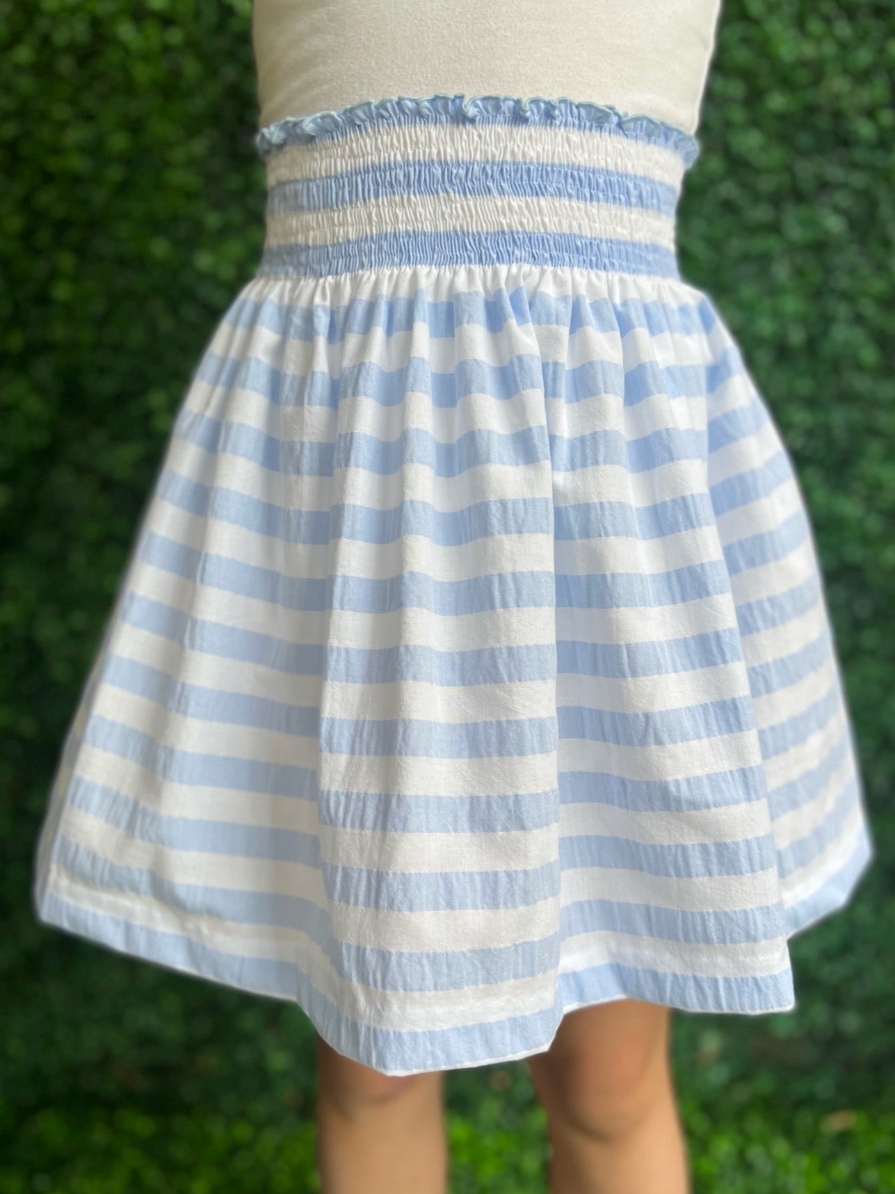 Marilia Skirt - Blue Stripe
