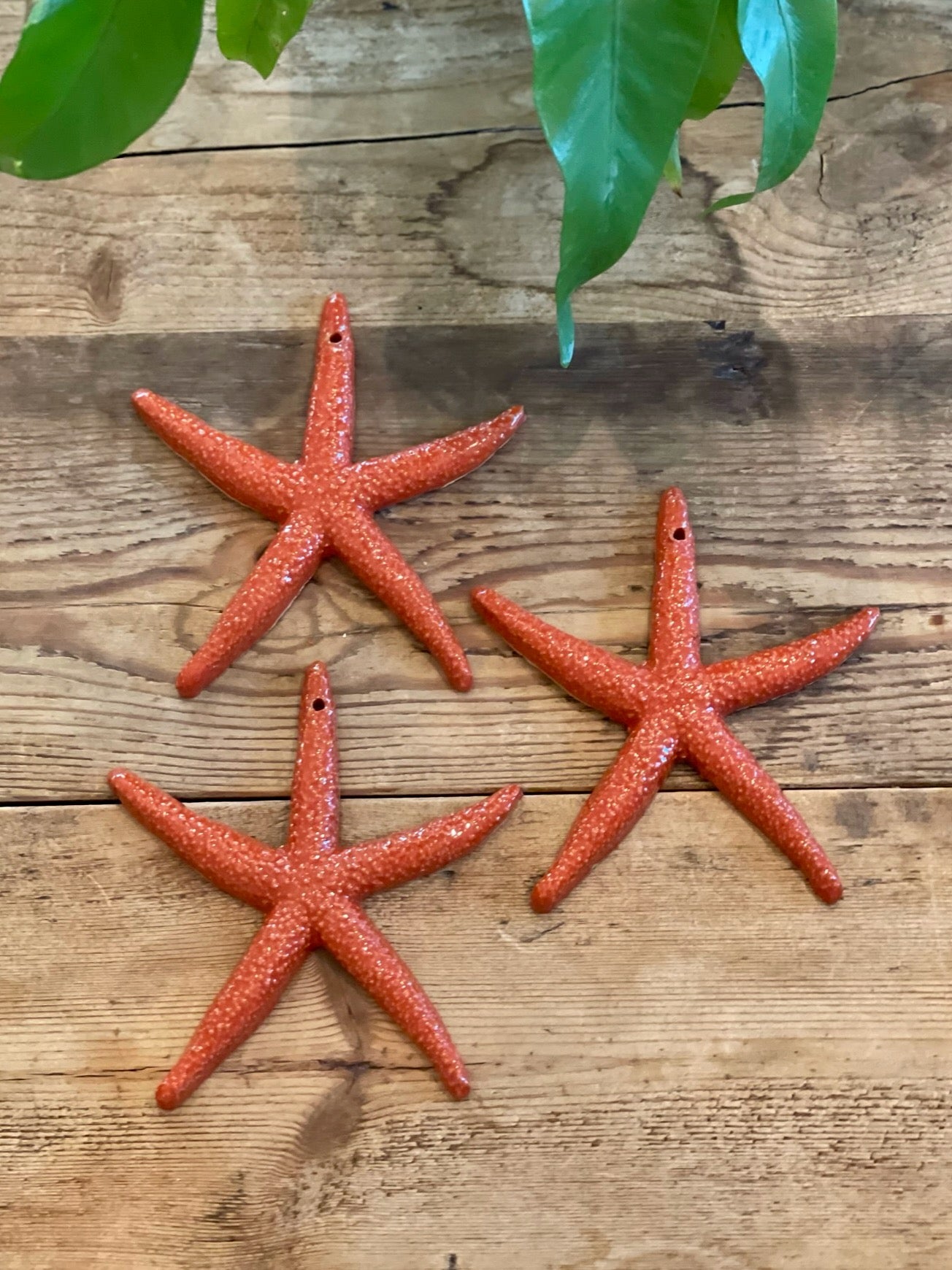 Stella Marina - Red Starfish