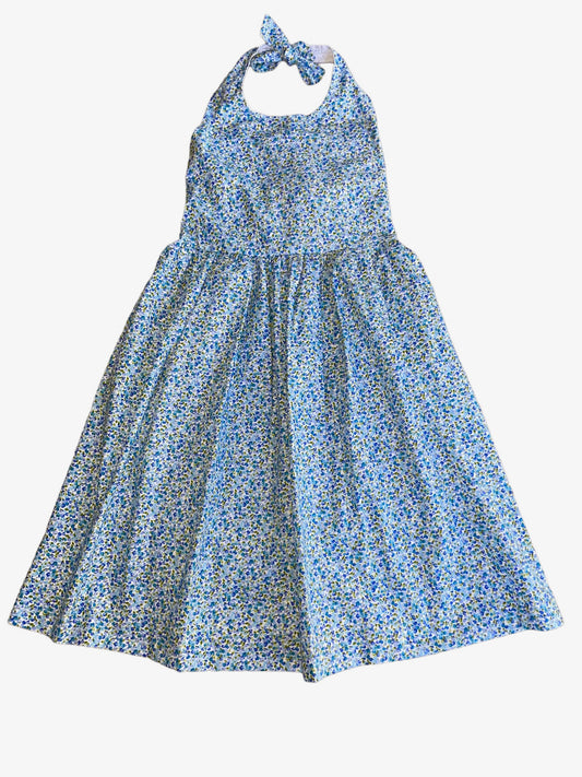 Capri Dress - Blue Floral